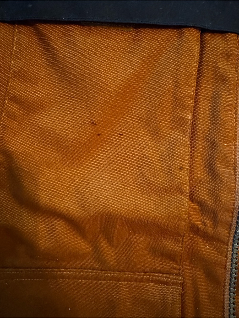 Jacket - Picture 2 of 4